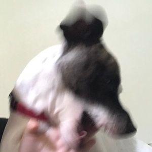 Meet your Posher, Ashlyn